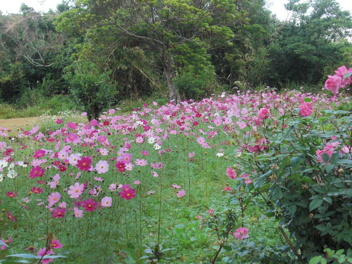Matayoshi Coffee Farm Villa Higashi Екстериор снимка