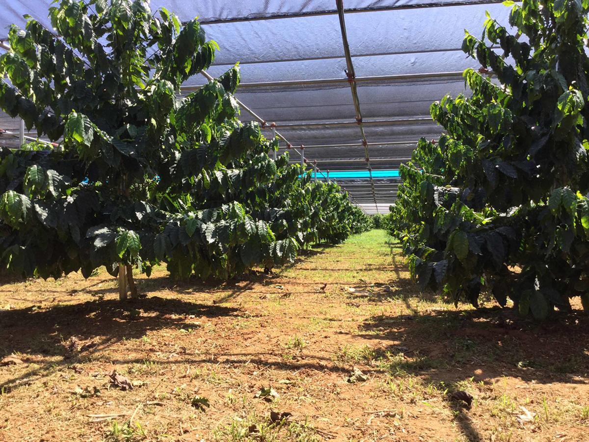 Matayoshi Coffee Farm Villa Higashi Екстериор снимка