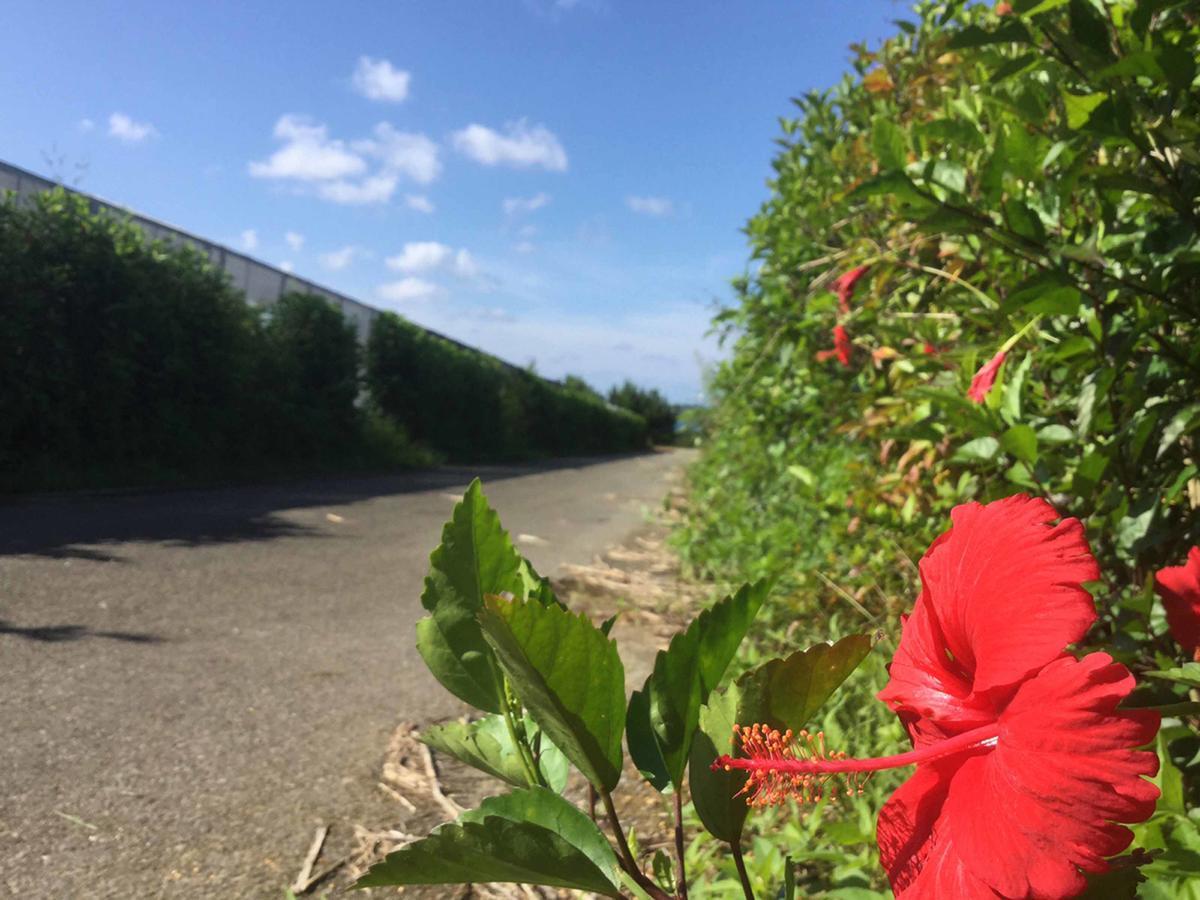 Matayoshi Coffee Farm Villa Higashi Екстериор снимка